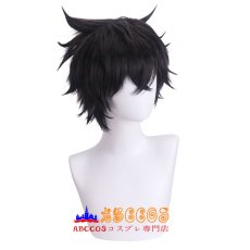 画像2: 盾の勇者の成り上がり いわたに なおふみ wig コスプレウィッグ abccos製 「受注生産」 (2)