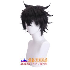 画像3: 盾の勇者の成り上がり いわたに なおふみ wig コスプレウィッグ abccos製 「受注生産」 (3)